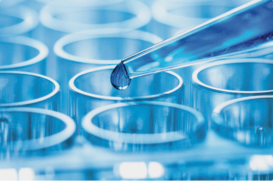 HCP ELISA方法學(xué)驗證——精密度與重復(fù)性(Precision & Reproducibility) HCP ELISA方法學(xué)驗證——精密度與重復(fù)性(Precision & Reproducibility)